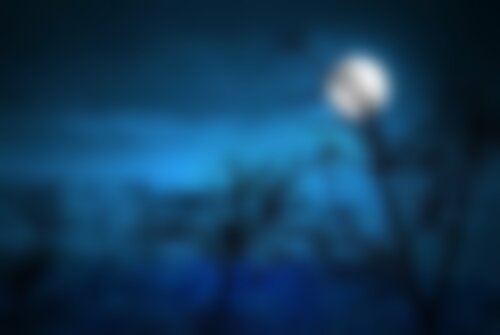 Квест Таинственный лес на kzn.kvestinfo.ru Квест Таинственный лес